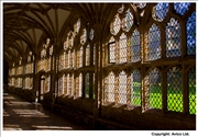 Wells Cathedral cloister 2 